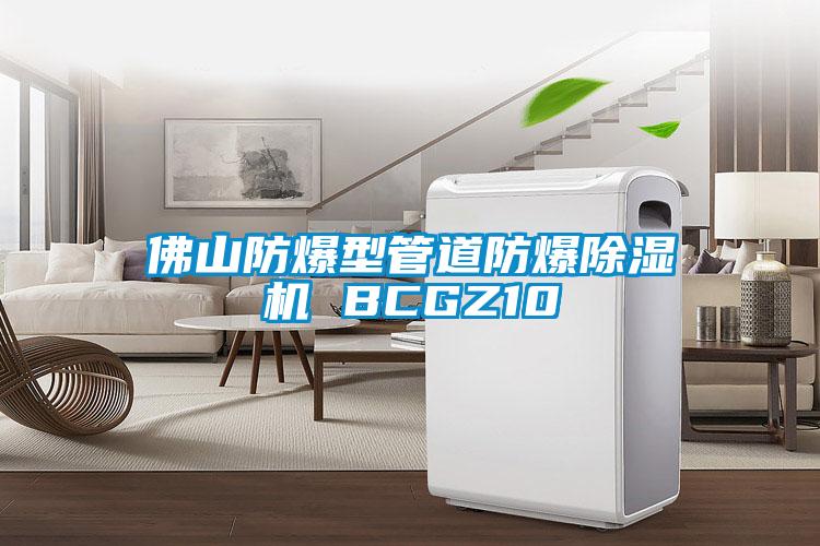 佛山防爆型管道防爆91抖音免费看片 BCGZ10