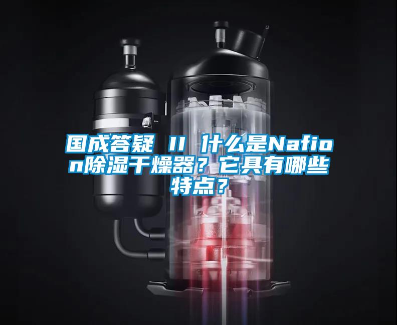 国成答疑 II 什么是Nafion除湿干燥器？它具有哪些特点？
