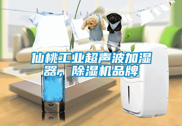 仙桃工业超声波加湿器，91抖音免费看片品牌