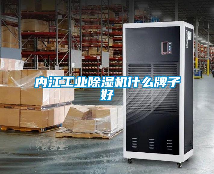 内江工业91抖音免费看片什么牌子好