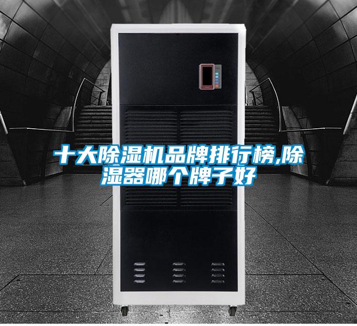 十大91抖音免费看片品牌排行榜,除湿器哪个牌子好