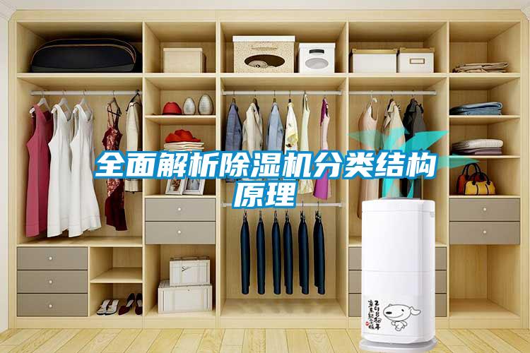 全面解析91抖音免费看片分类结构原理