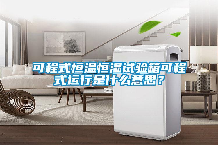 可程式恒温恒湿试验箱可程式运行是什么意思？
