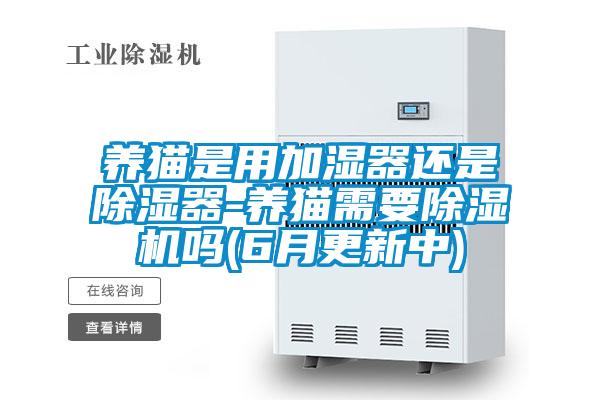 养猫是用加湿器还是除湿器-养猫需要91抖音免费看片吗(6月更新中)