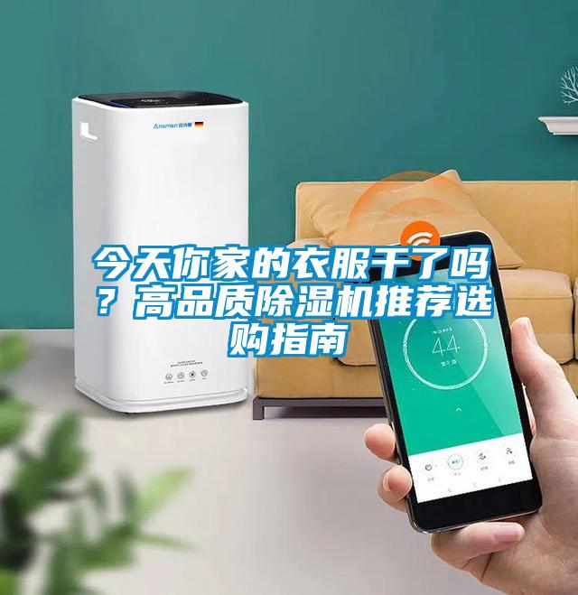 今天你家的衣服干了吗？高品质91抖音免费看片推荐选购指南