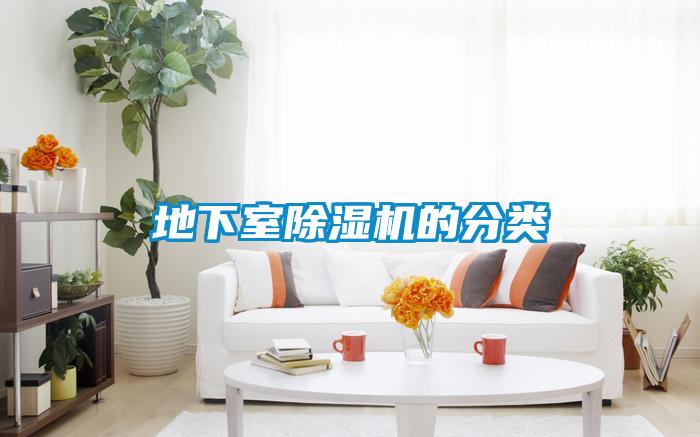 地下室91抖音免费看片的分类