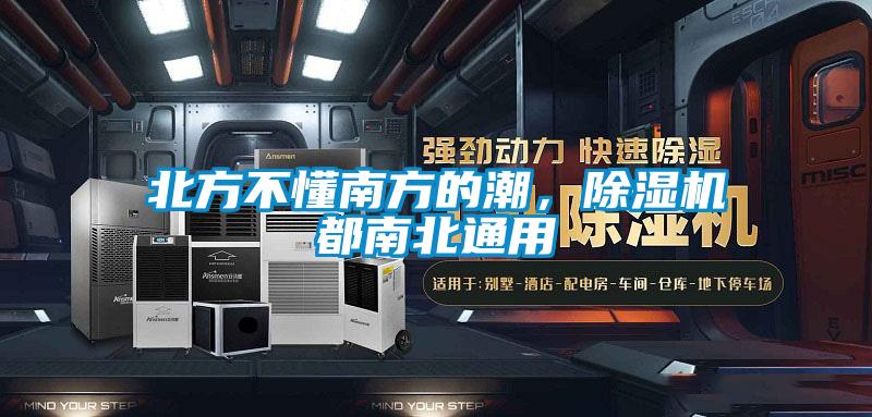 北方不懂南方的潮，91抖音免费看片都南北通用