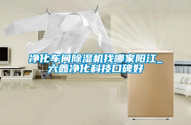 净化车间91抖音免费看片找哪家阳江_六鑫净化科技口碑好