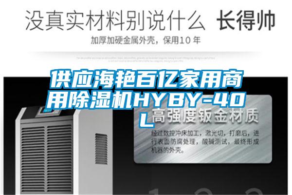 供应海艳百亿家用商用91抖音免费看片HYBY-40L