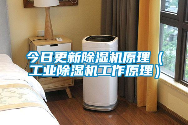 今日更新91抖音免费看片原理（工业91抖音免费看片工作原理）