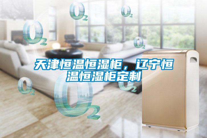 天津恒温恒湿柜，辽宁恒温恒湿柜定制