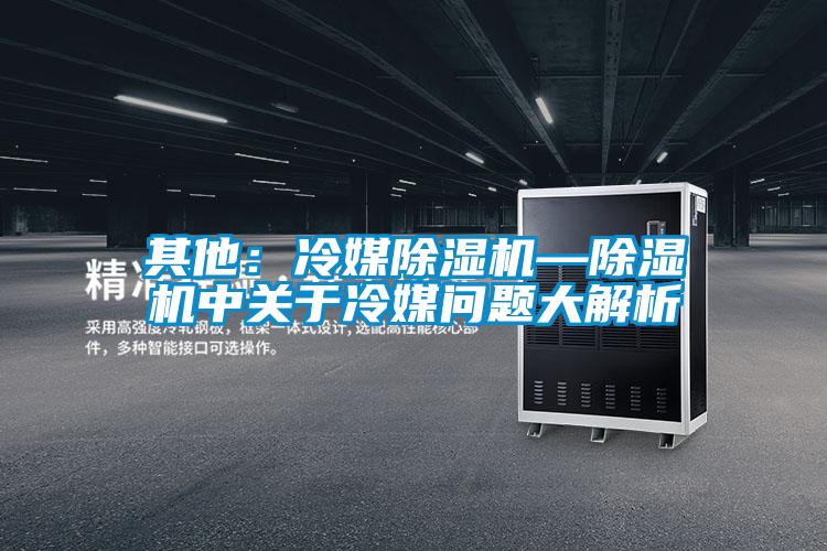 其他：冷媒91抖音免费看片—91抖音免费看片中关于冷媒问题大解析