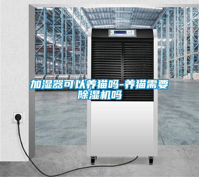 加湿器可以养猫吗-养猫需要91抖音免费看片吗