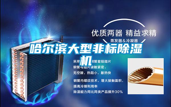 哈尔滨大型非标91抖音免费看片