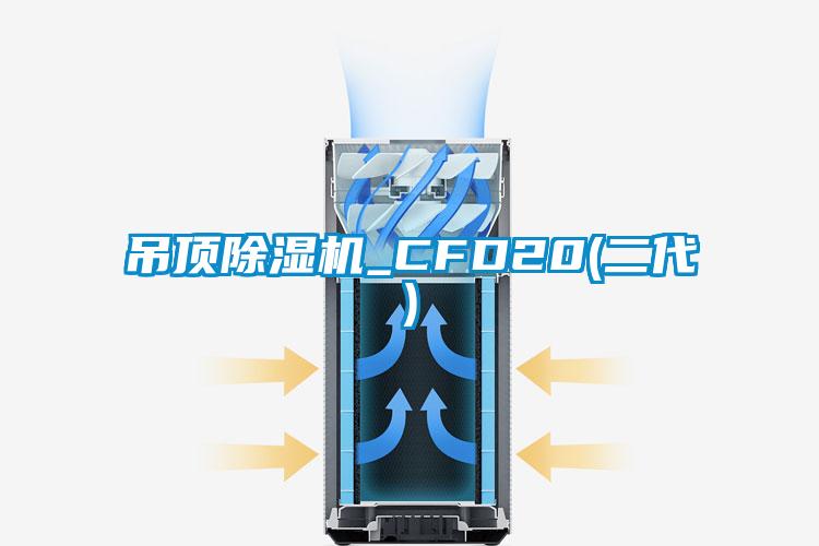 吊顶91抖音免费看片_CFD20(二代)