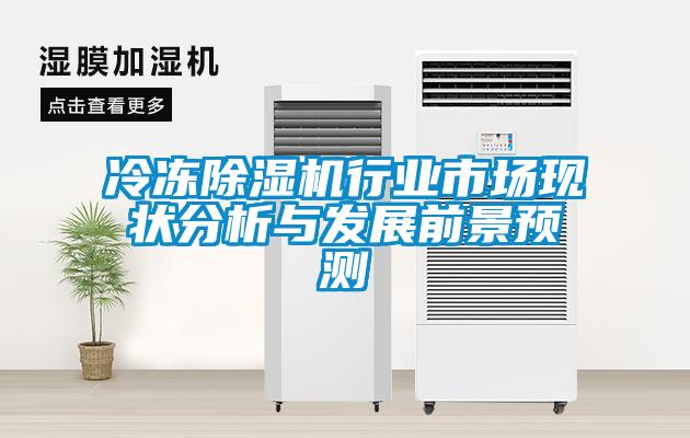 冷冻91抖音免费看片行业市场现状分析与发展前景预测