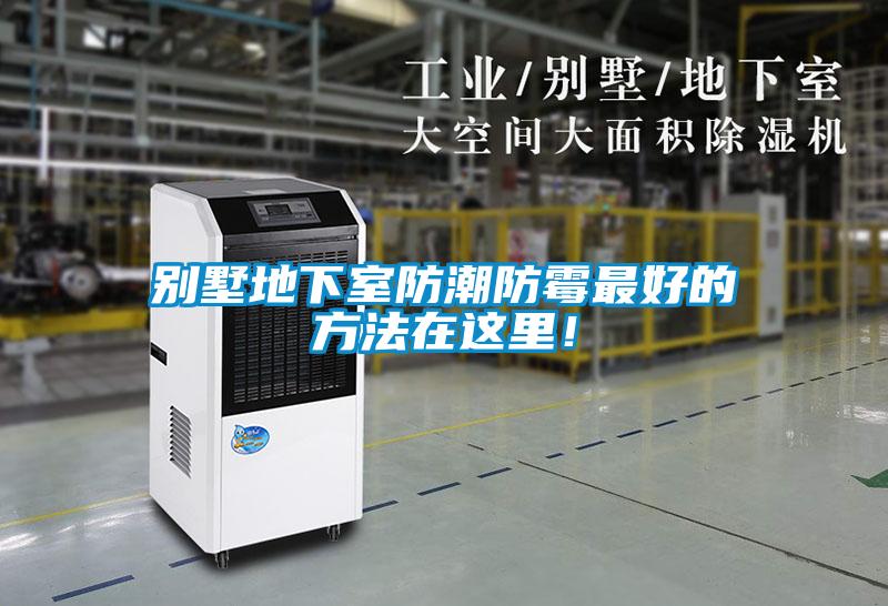 别墅地下室防潮防霉最好的方法在这里！