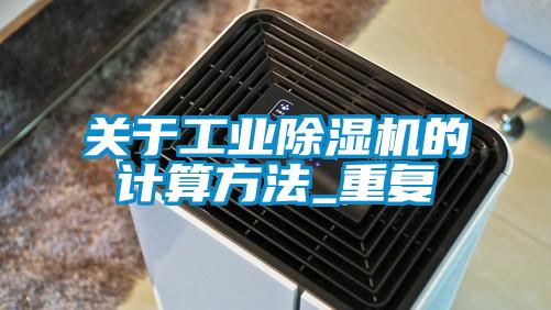 关于工业91抖音免费看片的计算方法_重复