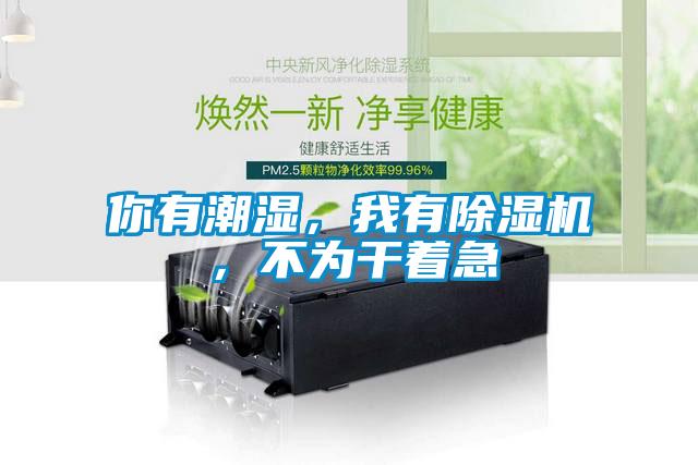 你有潮湿，我有91抖音免费看片，不为干着急
