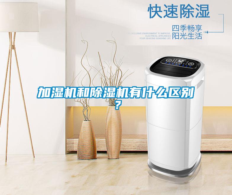 加湿机和91抖音免费看片有什么区别？