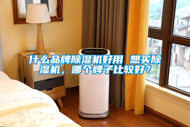 什么品牌91抖音免费看片好用 想买91抖音免费看片，哪个牌子比较好？