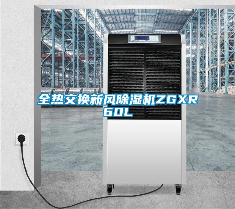 全热交换新风91抖音免费看片ZGXR60L