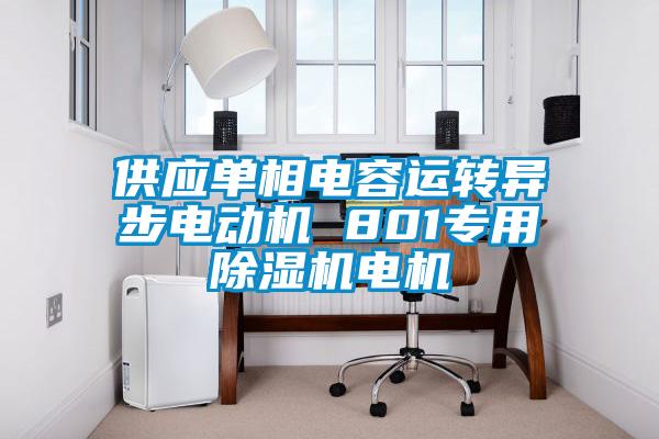供应单相电容运转异步电动机 801专用91抖音免费看片电机