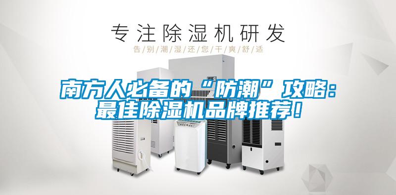 南方人必备的“防潮”攻略：最佳91抖音免费看片品牌推荐！