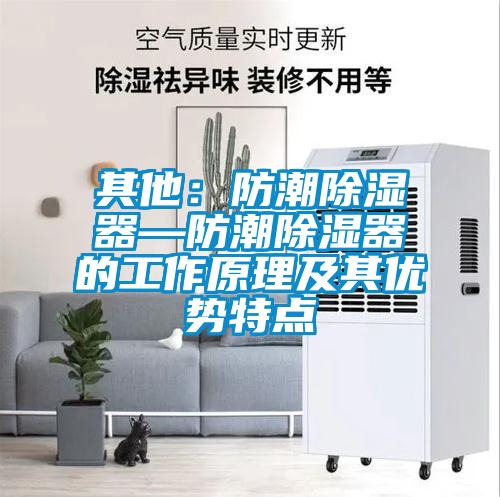 其他：防潮除湿器—防潮除湿器的工作原理及其优势特点