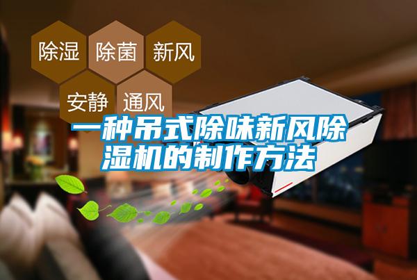 一种吊式除味新风91抖音免费看片的制作方法