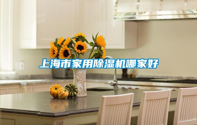 上海市家用91抖音免费看片哪家好