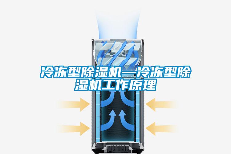 冷冻型91抖音免费看片—冷冻型91抖音免费看片工作原理