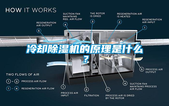 冷却91抖音免费看片的原理是什么？