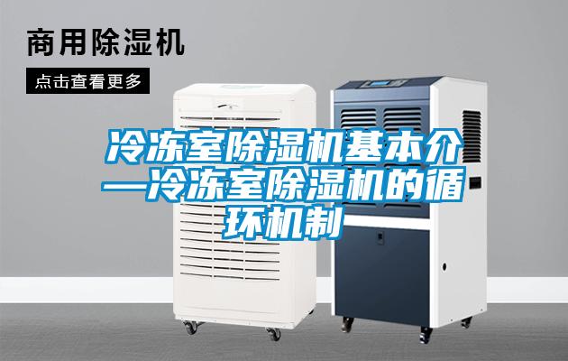 冷冻室91抖音免费看片基本介—冷冻室91抖音免费看片的循环机制