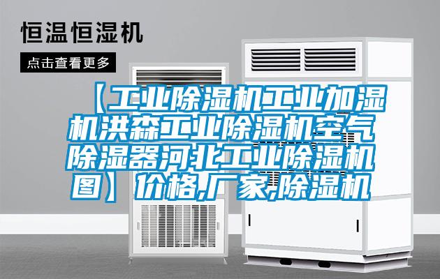 【工业91抖音免费看片工业加湿机洪森工业91抖音免费看片空气除湿器河北工业91抖音免费看片图】价格,厂家,91抖音免费看片