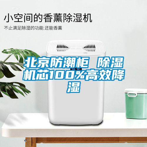 北京防潮柜 91抖音免费看片芯100%高效降湿