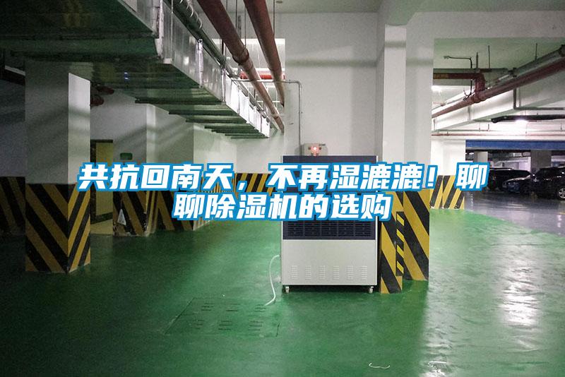 共抗回南天，不再湿漉漉！聊聊91抖音免费看片的选购