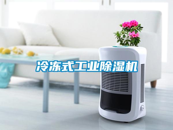 冷冻式工业91抖音免费看片