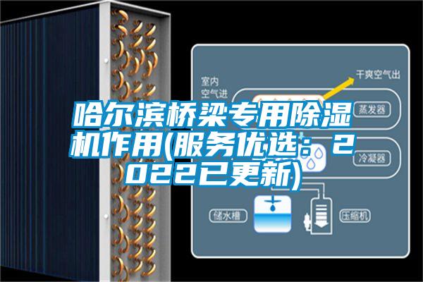 哈尔滨桥梁专用91抖音免费看片作用(服务优选：2022已更新)