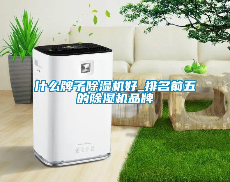 什么牌子91抖音免费看片好_排名前五的91抖音免费看片品牌
