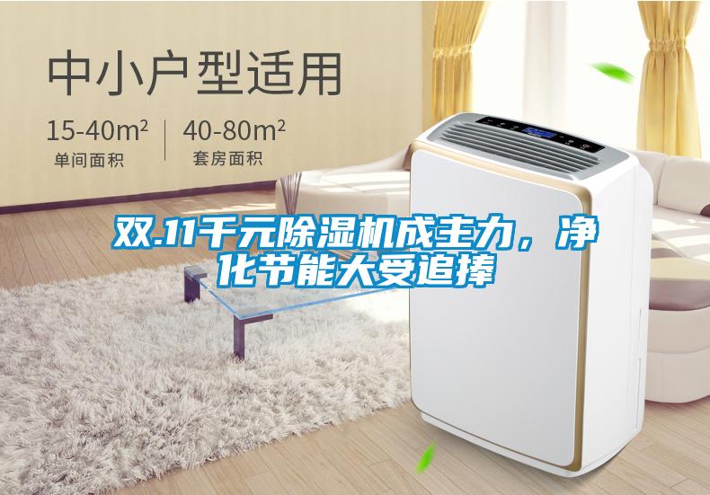 双.11千元91抖音免费看片成主力，净化节能大受追捧