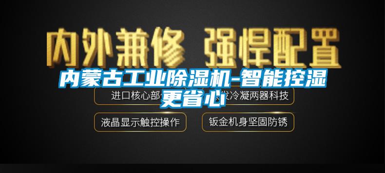 内蒙古工业91抖音免费看片-智能控湿更省心