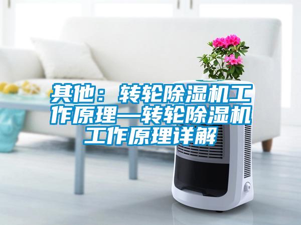 其他：转轮91抖音免费看片工作原理—转轮91抖音免费看片工作原理详解