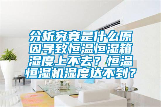 分析究竟是什么原因导致恒温恒湿箱湿度上不去？恒温恒湿机湿度达不到？