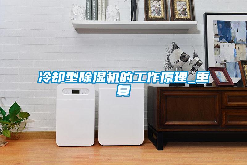 冷却型91抖音免费看片的工作原理_重复