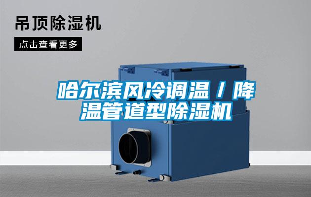 哈尔滨风冷调温／降温管道型91抖音免费看片