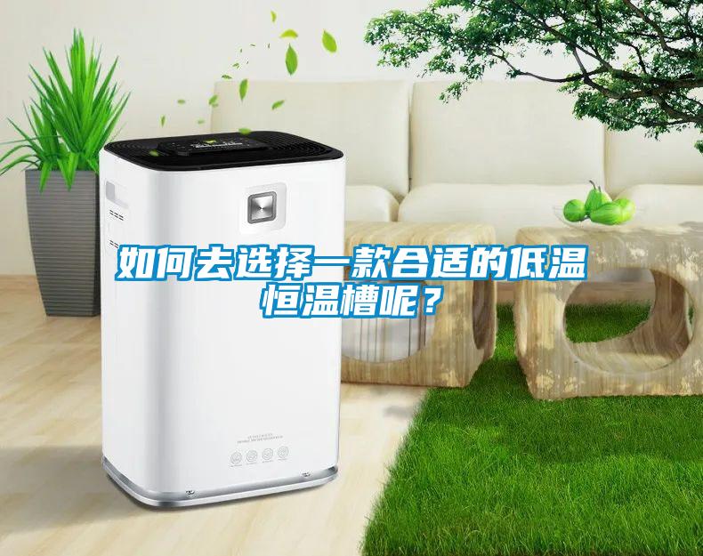 如何去选择一款合适的低温恒温槽呢？