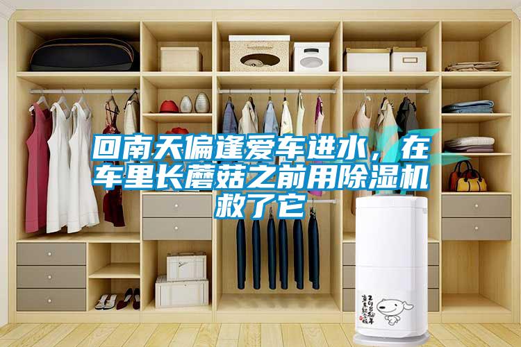 回南天偏逢爱车进水，在车里长蘑菇之前用91抖音免费看片救了它