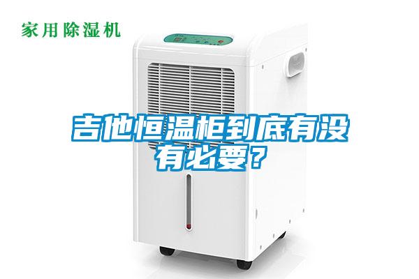 吉他恒温柜到底有没有必要？