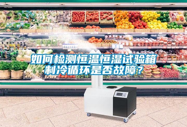 如何检测恒温恒湿试验箱制冷循环是否故障？